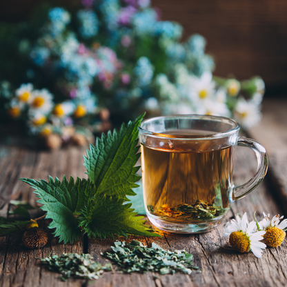 Organic Nettle Leaf Infusion
